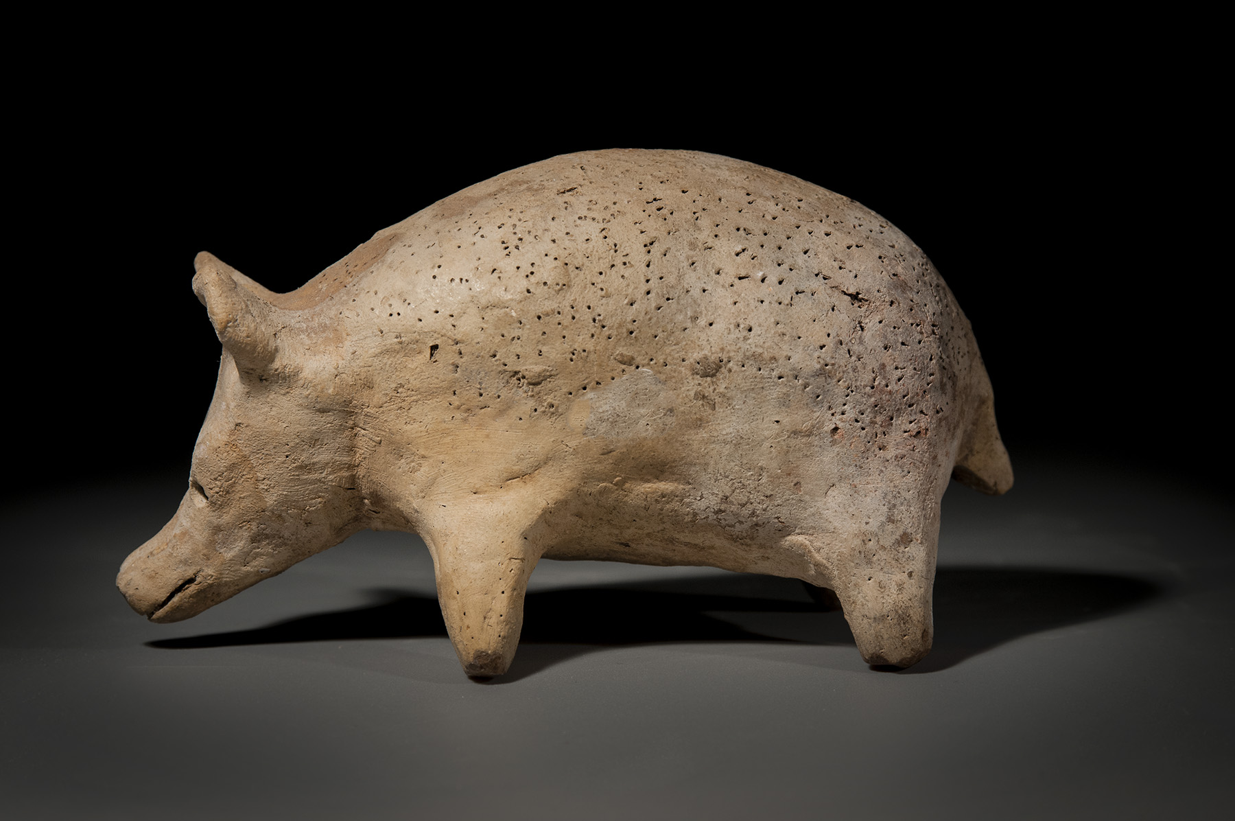 Roman Ceramic Hedgehog - Image 4