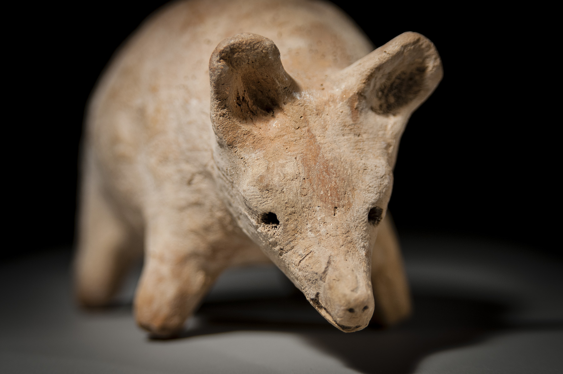 Roman Ceramic Hedgehog - Image 2