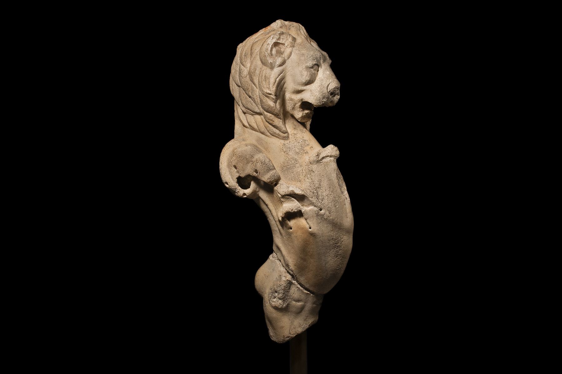 Trapezophoros Leg in the Form of a Lion - Image 5