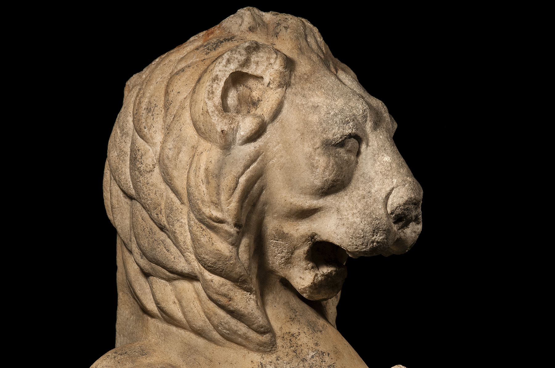 Trapezophoros Leg in the Form of a Lion - Image 3