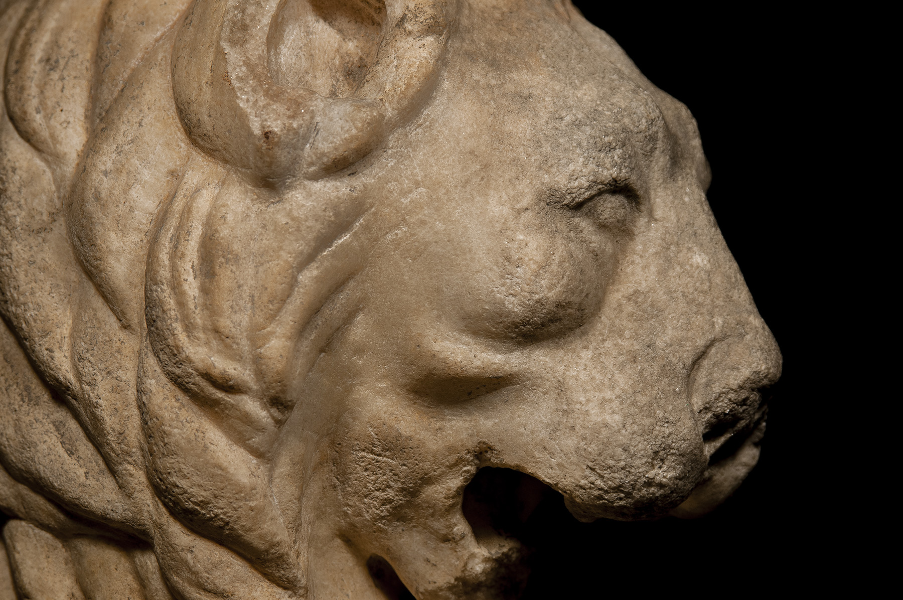 Trapezophoros Leg in the Form of a Lion