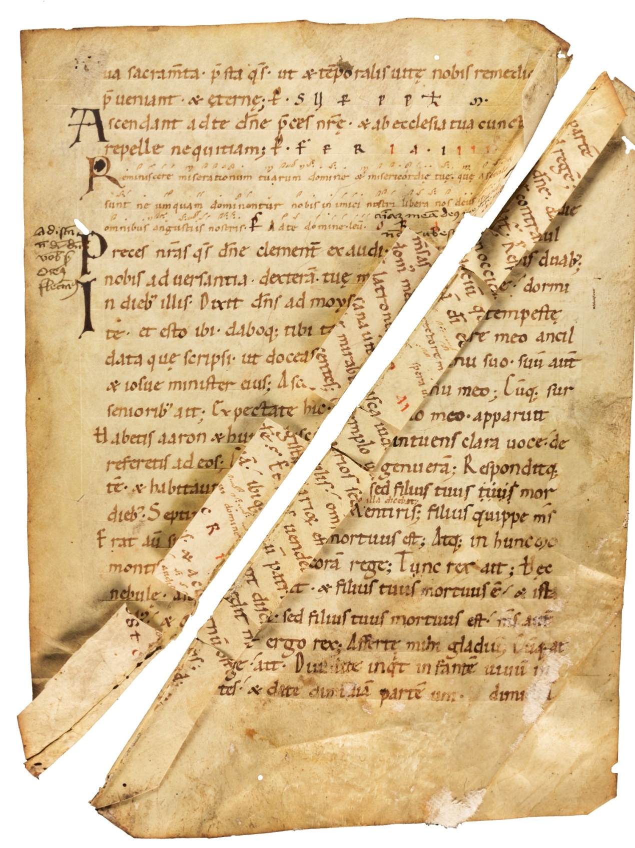 Nine Fragments From Early Liturgical Manuscripts