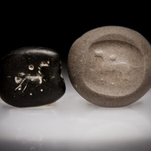A Canaanite Andesite Stamp Seal with an Animal